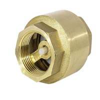 INVENA Zawór zwrotny 2" z plastikowym elementem zamykającym